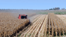 The industry claims that ethanol produced in Europe has 64% greenhouse gas (GHG) higher savings compared to petrol, which is equivalent to the annual GHG emissions of 4 million cars